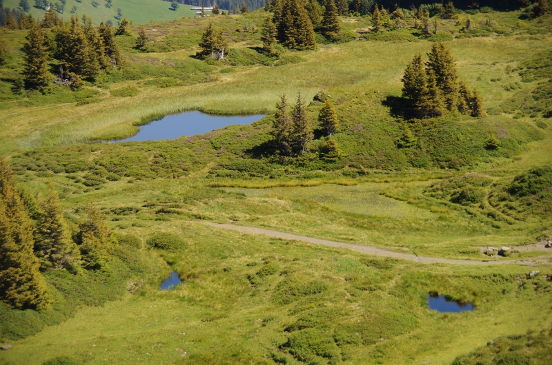 24h Hike Mammut_Ochsner 'Grosse Scheidegg _ Schwarzhorn 2927m' 18_08_2012 (26).JPG